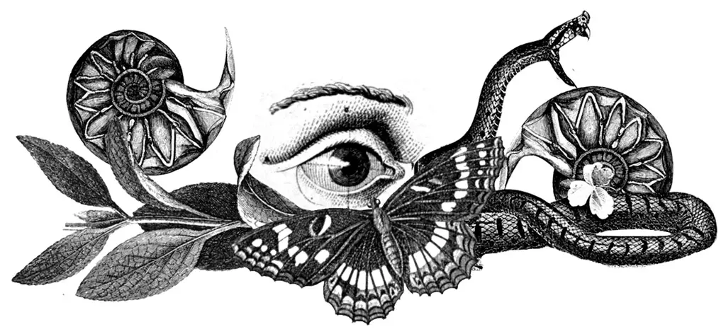 Psicóloga Em Bauru - Isabela Custódio Meira